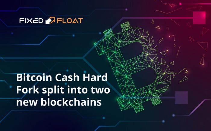 Infolge der hard fork teilte sich Bitcoin Cash in zwei neue Blockchains auf