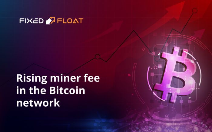 Steigende miner fees im Bitcoin-Netzwerk