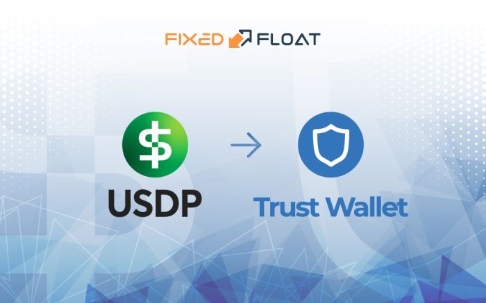 Exchange USDP to Trust Wallet Token (BEP2)